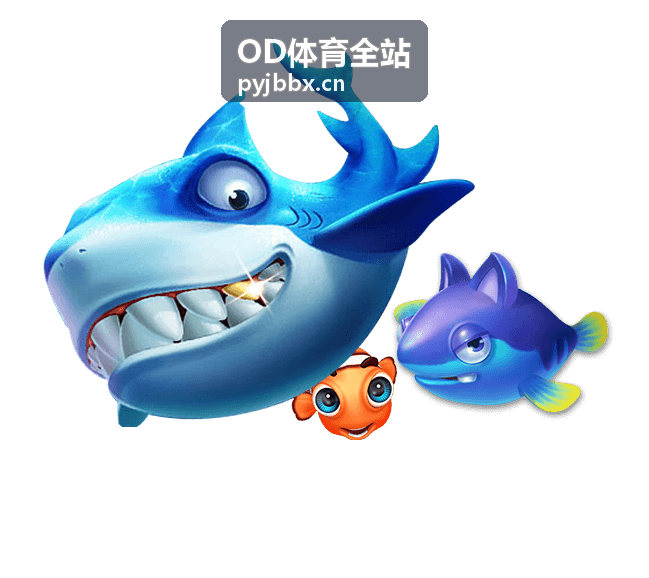 OD体育全站足球赛事主裁判执裁现场